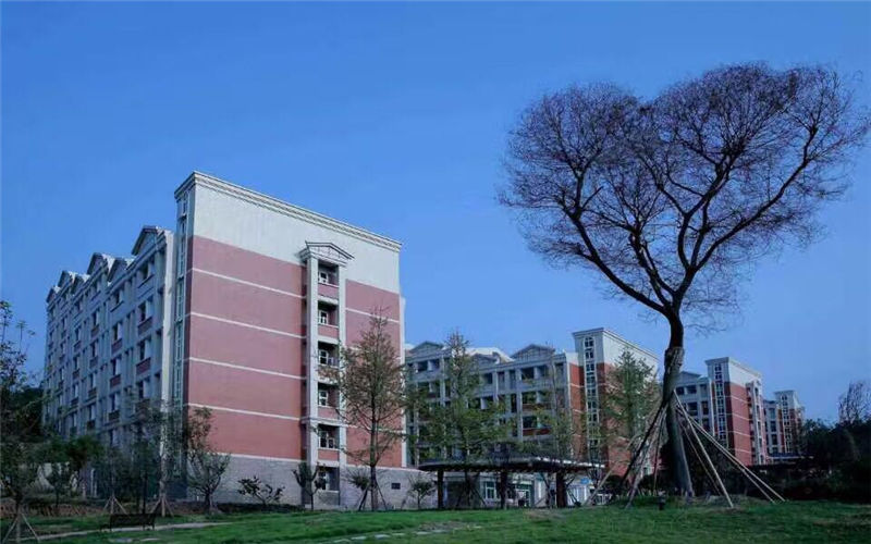四川中医药高等专科学校职教高考